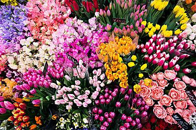 模拟经营放置游戏《圆滚滚！丑蛙池塘》试玩Demo今日上线Steam